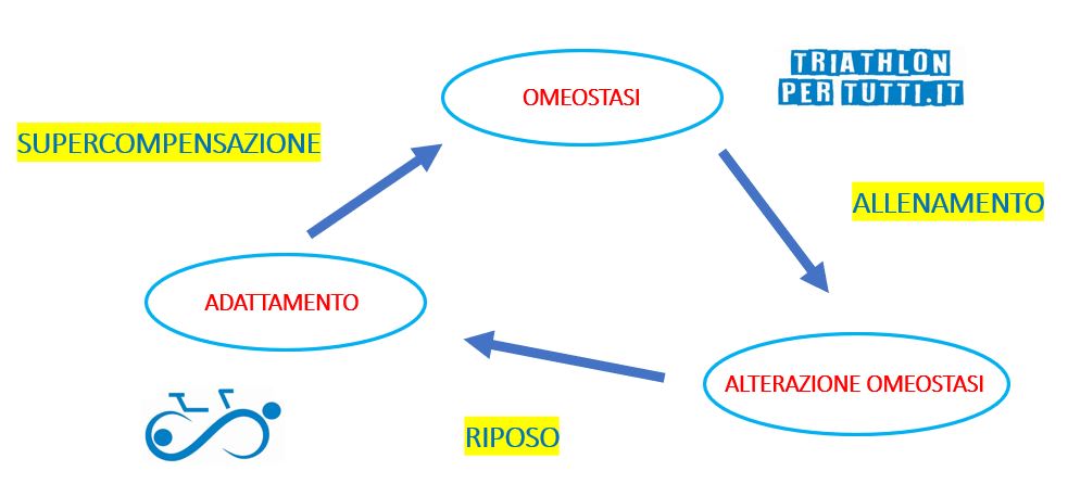 PROCESSO DI MIGLIORAMENTO DELLE PERFORMANCE